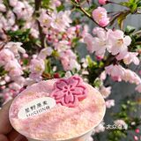 樱花提拉米苏🌸武汉的春日限定粉