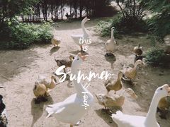 -森林公园(尖草坪区)