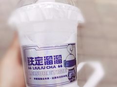 石斛生椰马蹄爆珠-TD66高山铁皮石斛养生茶饮