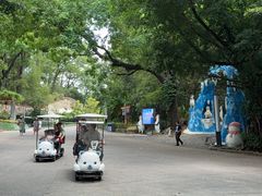 -深圳野生动物园