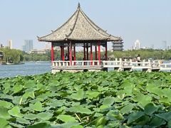 -济南大明湖景区