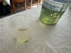 -天乐农家鱼头王(天目湖店)