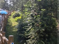 -南武当山景区