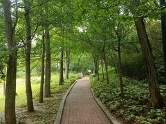 -棒棰岛宾馆景区