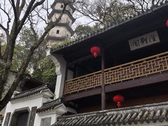 -江心屿景区