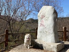 -百里山水画廊