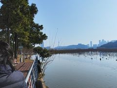 -月湖风景区