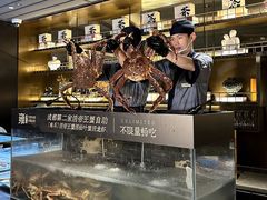 -雍容荟帝王蟹活龙虾展台自助(IFS黑金店)