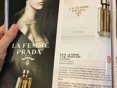 -新加坡航空公司(ION)