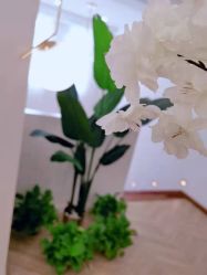 -PANPAN·美甲美睫