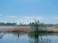 -野鸭湖国家湿地公园