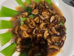 -喀什骑仕大观园