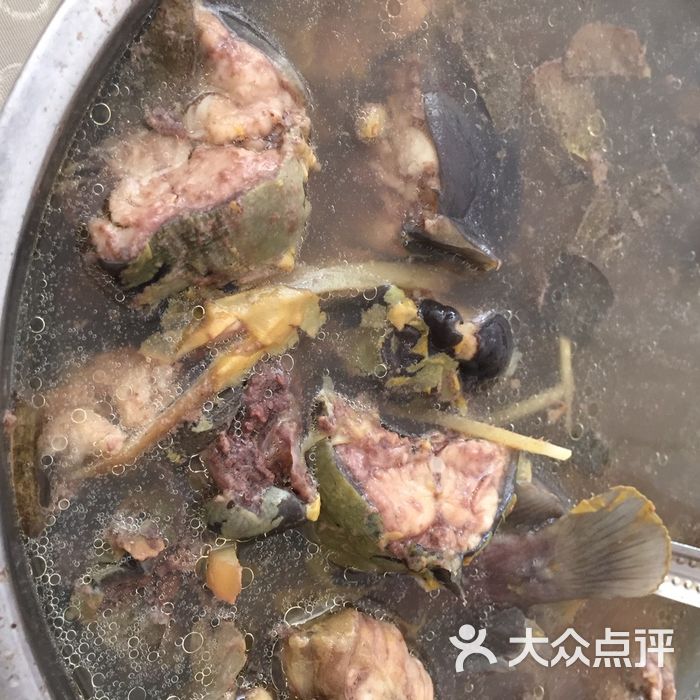 达琪饭店金钱草塘角鱼肉饼汤图片-北京其他美食-大众点评网