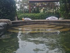 -徂徕山森林康养度假谷温泉