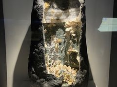 -重庆自然博物馆(新馆)