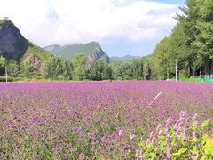 -百里山水画廊