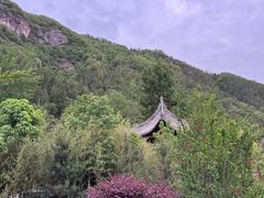 -李记搅团•非遗陕菜(三桥店)