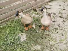 -宁波九龙湖开元度假村