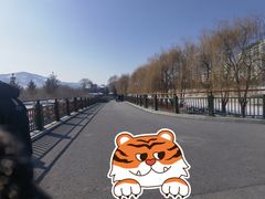 -江心岛