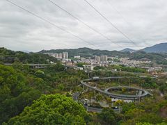 -福道