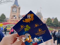 -上海迪士尼度假区