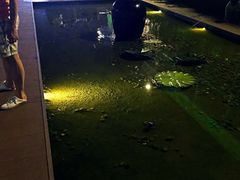 -梧桐餐厅(泉城路店)