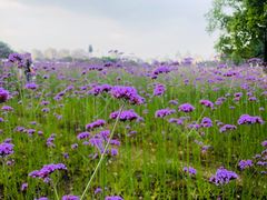 -杭州城北体育公园