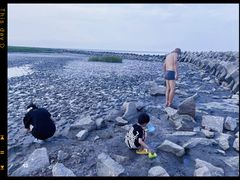 -南汇嘴观海公园