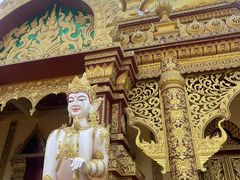 -西双版纳勐泐文化旅游区