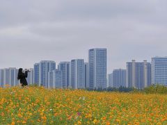 -洋湖国家湿地公园