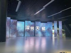 -深圳市当代艺术与城市规划馆