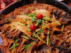 -老板恋上鱼(印象城店)