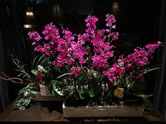 -台北北投丽禧温泉酒店