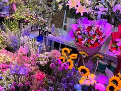 -花鸟鱼虫鲜花绿植市场(玉泉路店)