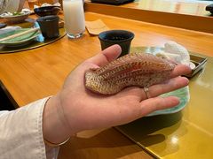 -鮨冠OMAKASE食べ放题(北京首店)