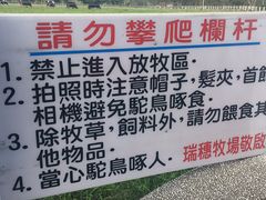 -瑞穗牧场
