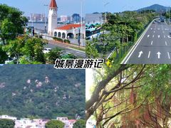 -横琴客运码头