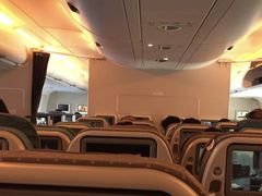 -新加坡航空公司(ION)
