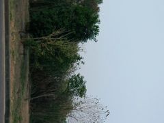 -南京金牛湖风景区