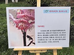 -堤角公园