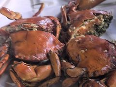 -阳江餐厅·30年老字号·粤菜海鲜大排档