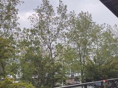 -宝荣鱼馆·临湖之宴(千岛湖店)