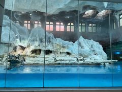 -帝企鹅自助餐厅•儿童岛•真企鹅(长隆企鹅酒店)