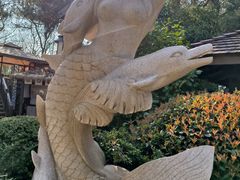 -天目湖涵田半山温泉