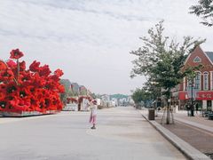 -荷兰花海