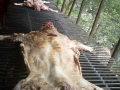 -岭上人家金屋瑶筐烤全羊(永嘉店)