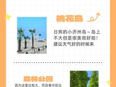 -日照海滨国家森林公园