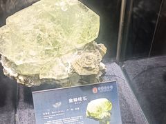 -中华赏石园