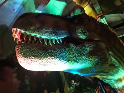 -恐龙探索乐园(磁器口店)