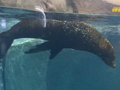 -福州罗源湾海洋世界旅游区